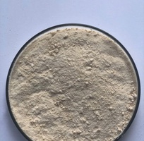Enzyme đơn dòng Amylase phân giải tinh bột