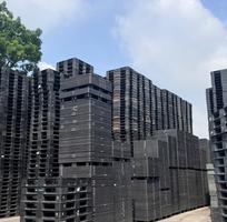  Tìm Đâu Xa   Pallet Nhựa Giá Rẻ - Uy Tín Số 1 Tại Trà Vinh Đây Rồi  