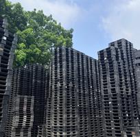 1  Tìm Đâu Xa   Pallet Nhựa Giá Rẻ - Uy Tín Số 1 Tại Trà Vinh Đây Rồi  