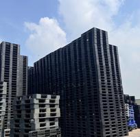 4  Tìm Đâu Xa   Pallet Nhựa Giá Rẻ - Uy Tín Số 1 Tại Trà Vinh Đây Rồi  