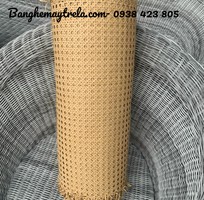 Lưới mây nhựa mắt cáo trang trí