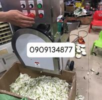 Máy thái lát đậu que, đậu bắp sấy khô, máy cắt khúc đậu que, máy cắt rau lá băng tải SH125