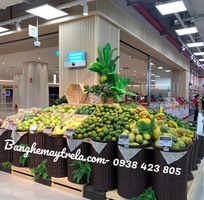 6 Rổ đựng trái cây siêu thị đan sợi tròn