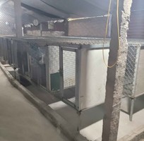 1 Cho Thuê mặt bằng nuôi Chồn Hương