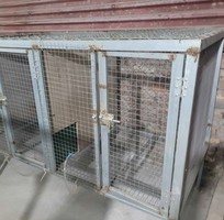2 Cho Thuê mặt bằng nuôi Chồn Hương