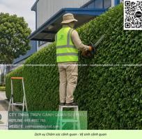 1 Công ty cây xanh Nhơn Trạch Đồng Nai