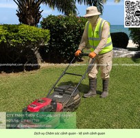 3 Công ty cây xanh Nhơn Trạch Đồng Nai