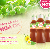 1 Nước Sâm La Hán Hoa Cúc Thái Sơn - Thức uống thanh mát, ngọt dịu, dễ uống mỗi ngày
