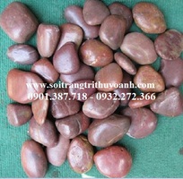 8 Sỏi bóng Thùy Oanh
