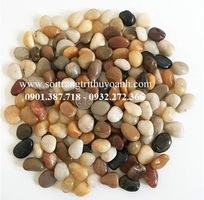 3 Sỏi bóng Thùy Oanh
