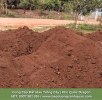 Bán Đất Màu Giá Rẻ Tại Đồng Nai, TP. HCM