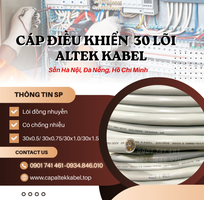 Nhà phân phối cáp điều khiển Altek Kabel 30 lõi chống nhiễu