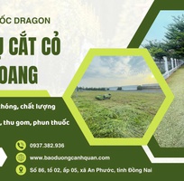  Nhận cắt cỏ nhà xưởng, đất trống, biệt thự