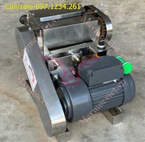 Máy cán thịt - dần thịt tươi chạy điện TBT200 giá rẻ