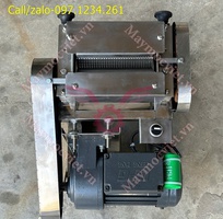 1 Máy cán thịt - dần thịt tươi chạy điện TBT200 giá rẻ