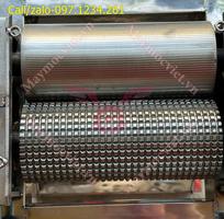 2 Máy cán thịt - dần thịt tươi chạy điện TBT200 giá rẻ
