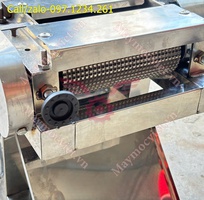 3 Máy cán thịt - dần thịt tươi chạy điện TBT200 giá rẻ