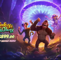 Monkeys Wild Party: Let the Wild Spread, Watch the Multiplier Climb