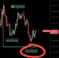 3 Hỗ trợ trader 3 Hỗ trợ trader