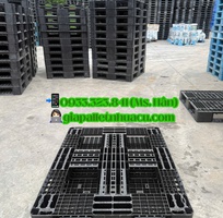 1  Pallet Nhựa Tại Long An   Trợ Thủ Đắc Lực Của Bà Con Nông Dân  