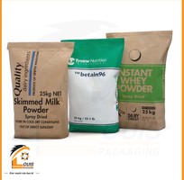 1 Bao giấy Kraft đựng thực phẩm 25kg