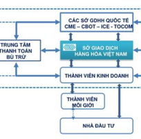 Cơ cấu tổ chức, hoạt động