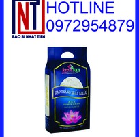 Cung cấp túi đựng gạo 5kg PA/PE