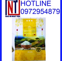 4 Cung cấp túi đựng gạo 5kg PA/PE