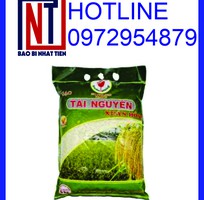 5 Cung cấp túi đựng gạo 5kg PA/PE