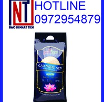 6 Cung cấp túi đựng gạo 5kg PA/PE