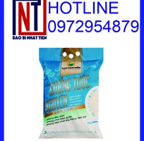 7 Cung cấp túi đựng gạo 5kg PA/PE