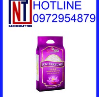 9 Cung cấp túi đựng gạo 5kg PA/PE