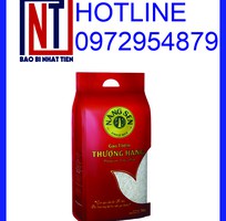 10 Cung cấp túi đựng gạo 5kg PA/PE