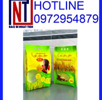 12 Cung cấp túi đựng gạo 5kg PA/PE