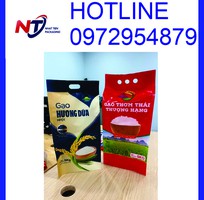 16 Cung cấp túi đựng gạo 5kg PA/PE