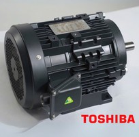 Động cơ điện Toshiba