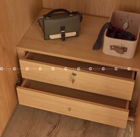 Tủ Quần Áo Gỗ Tự Nhiên Cửa Mở Phối Kính Sang Trọng