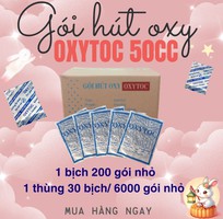Muốn chống mốc bánh trung thu, OXYTOC có đáng để đầu tư