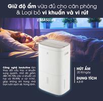 Máy hút ẩm Electrolux EDH10TRBW1