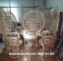 3 Ghế đuôi công mây tự nhiên decor chụp hình
