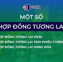Hợp đồng tương lai tại Việt Nam