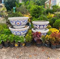 12 Chậu khảm miểng chén , cẩn sành sứ thủ công mỹ nghệ