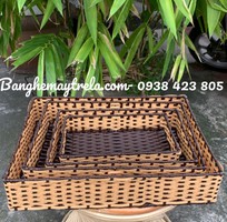 2 Khay để đồ mây nhựa