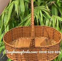 5 Khay để đồ mây nhựa