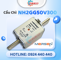 Cầu chì Mersen NH2GG50V300