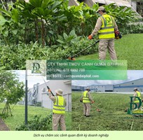 Dịch vụ chăm sóc cây xanh, thảm cỏ KCN Lộc An   Bình Sơn Đồng Nai uy tín, giá cạnh tranh