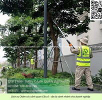 1 Dịch vụ chăm sóc cây xanh, thảm cỏ KCN Lộc An   Bình Sơn Đồng Nai uy tín, giá cạnh tranh