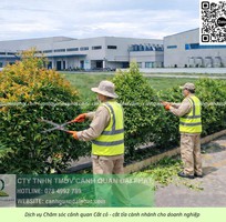 2 Dịch vụ chăm sóc cây xanh, thảm cỏ KCN Lộc An   Bình Sơn Đồng Nai uy tín, giá cạnh tranh