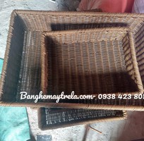 2 Khay để đồ chữ nhật mây nhựa