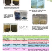 GREE Cung Cấp Polymer Nano Green Cation Trong Xử Lý  Nước Thải Và Quá Trình Ép Bùn Chỉ 40.000đ/1kg